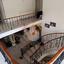 4 bedroom detached house for sale erimi limassol 1586974 thumbnail 13699562