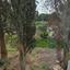 6 bedroom town house for sale archangelos nicosia 8083974 thumbnail 15148541