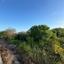 land for sale mesogi paphos 1335974 thumbnail 2475372