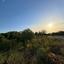 land for sale mesogi paphos 1335974 thumbnail 2475373