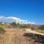 land for sale peyia paphos 1307974 thumbnail 14831483