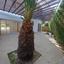 4 bedroom detached house for sale parissinos nicosia 8002084 thumbnail 14466100