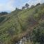land for sale kato platres limassol 1546084 thumbnail 5869851