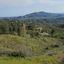 land for sale kato platres limassol 1546084 thumbnail 5869861