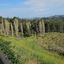 land for sale kato platres limassol 1546084 thumbnail 5869867
