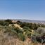 3345 SQM Land for sale in Drimou, Paphos thumbnail 16306586