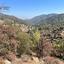 land for sale kannavia nicosia 7580184 thumbnail 16132116