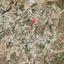 land for sale marathounta paphos 8396184 thumbnail 16002223