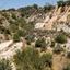 land for sale marathounta paphos 8396184 thumbnail 16002226