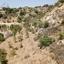 land for sale marathounta paphos 8396184 thumbnail 16071804