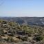 land for sale psevdas larnaca 957184 thumbnail 17102866