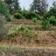 plot for sale kakopetria nicosia 1794184 thumbnail 16168156