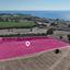 land for sale agios theodoros larnacas larnaca 8827284 thumbnail 16975184