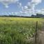 land for sale trachoni lemesou limassol 1883284 thumbnail 7045103