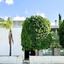 4 bedroom detached house for sale aglantzia nicosia 8746384 thumbnail 16537521