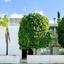 4 bedroom detached house for sale aglantzia nicosia 8746384 thumbnail 16537522