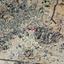 land for sale dali nicosia 1887384 thumbnail 15596927