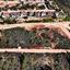 land for sale souni zanakia limassol 8629384 thumbnail 15909332