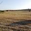 land off market tersefanou larnaca 1908384 thumbnail 14368510