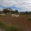 plot for sale agioi trimithias nicosia 1902384 thumbnail 17344067