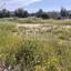 plot for sale strovolos nicosia 1784384 thumbnail 7296213