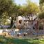 5 bedroom detached house for sale dekeleia larnaca 7513584 thumbnail 13458647