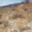 land for sale pachna limassol 826584 thumbnail 15600845
