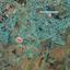 plot for sale geri nicosia 8468584 thumbnail 15614271