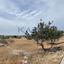plot for sale ypsonas limassol 1806584 thumbnail 15757296