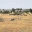 plot for sale ypsonas limassol 1806584 thumbnail 15757299
