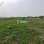 land for sale mandria pafou paphos 8450684 thumbnail 15084045