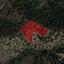 land for sale palaichori oreinis nicosia 954684 thumbnail 15603307