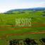 plot for sale softades larnaca 8857684 thumbnail 17148924