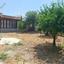 2 bedroom bungalow for sale choulou paphos 8966784 thumbnail 17845148