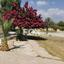 5 bedroom detached house for rent parekklisia limassol 7842784 thumbnail 16578823