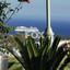 5 bedroom detached house for rent parekklisia limassol 7842784 thumbnail 16578833