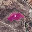 land for sale agios theodoros larnacas larnaca 1213784 thumbnail 2009456