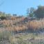 land for sale fyti paphos 945784 thumbnail 15598760