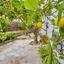 3 bedroom detached house for sale kritou tera paphos 8529884 thumbnail 15458050