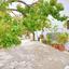 3 bedroom detached house for sale kritou tera paphos 8529884 thumbnail 15458053