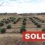 land sold pera orinis nicosia 1153884 thumbnail 5493973