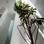 3 bedroom apartment for sale makedonitissa nicosia 1747984 thumbnail 11462235