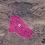 13379 SQM Land for sale in Choletria, Paphos thumbnail 15717463