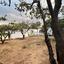 3 bedroom detached house for rent agia fyla limassol 8317094 thumbnail 14875180