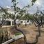 3 bedroom detached house for rent agia fyla limassol 8317094 thumbnail 14875181