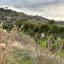 land for sale kissonerga paphos 8375094 thumbnail 14609130