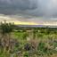 land for sale kissonerga paphos 8375094 thumbnail 14609131