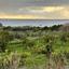 land for sale kissonerga paphos 8375094 thumbnail 14609132