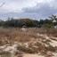 plot for sale pyrgos limassol limassol 7789094 thumbnail 16439354