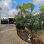 3 bedroom detached house for sale geroskipou paphos 8598194 thumbnail 16534796